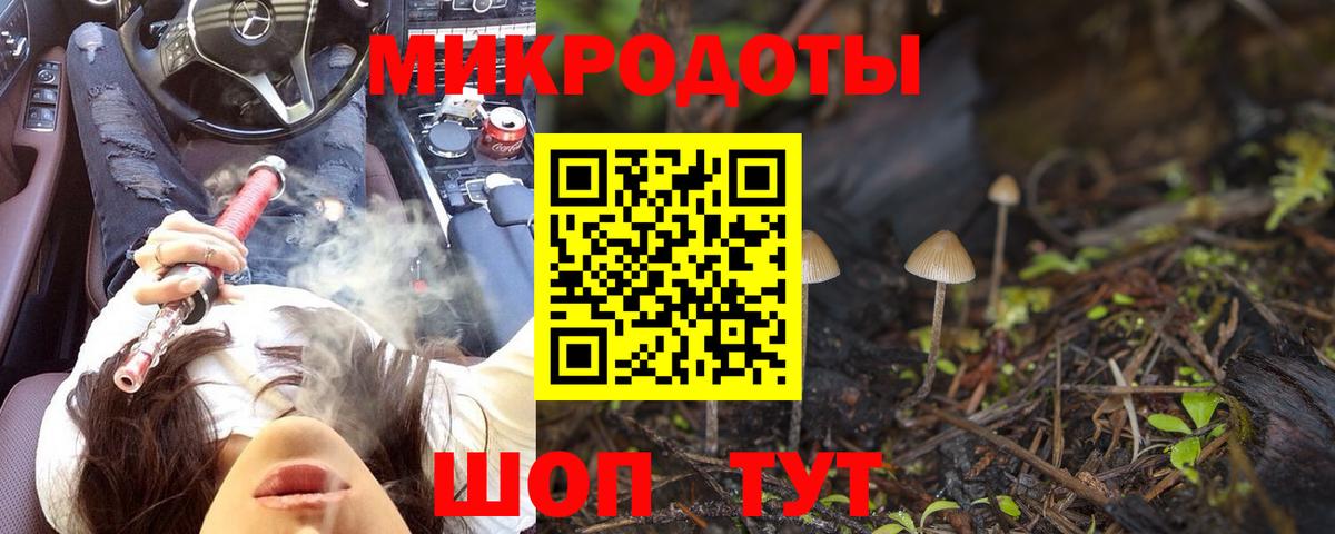 Псилоцибиновые грибы мицелий Малоярославец